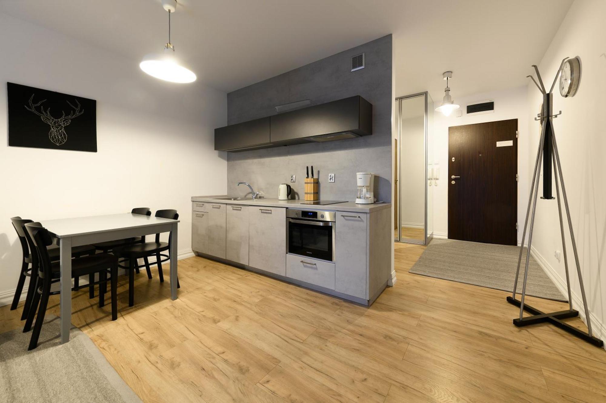 Apartment Blue Mare Black Deer Polanki 350 M Baltic